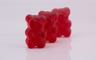 Vous prenez du Lion’s Mane mais… rien ? Comprendre pourquoi ça ne marche pas (encore)