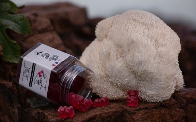 Lion&rsquo;s Mane : 5 incroyables habitudes pour une meilleure clarté mentale