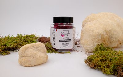 Gummies ou gélules : quelle est la meilleure forme de complément alimentaire ?