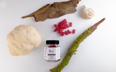 🧠 Gummies au Lion&rsquo;s Mane pour étudiants : 1 super boost de ses capacités cognitives avec The Fun Guy