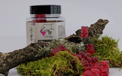 Comment améliorer sa concentration au travail sans caféine ? (avec Lion’s Mane & The Fun Guy Gummy)