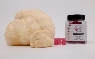 Pourquoi choisir des gummies sans sucre ? Les dangers du sucre caché dans les compléments