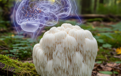 Hericium erinaceus et la maladie d’Alzheimer : quand la science explore l’inflammation et le pouvoir du Lion’s Mane